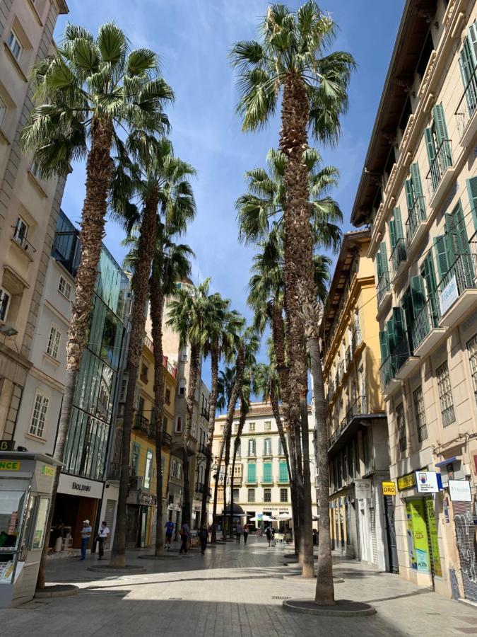 Picasso Center 1a Lejlighed Málaga
